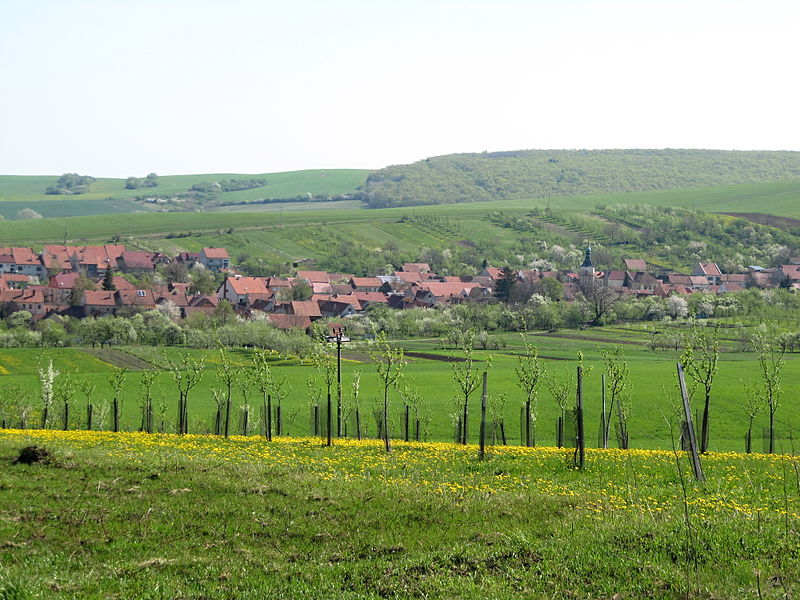 Vyklízení Boršice u Blatnice